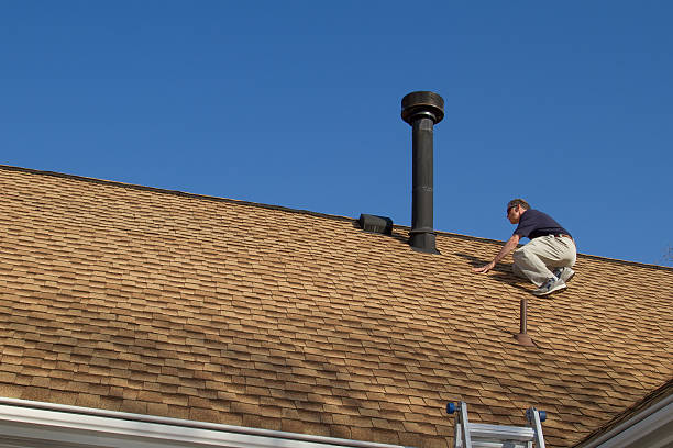 Roof Moss and Algae Removal